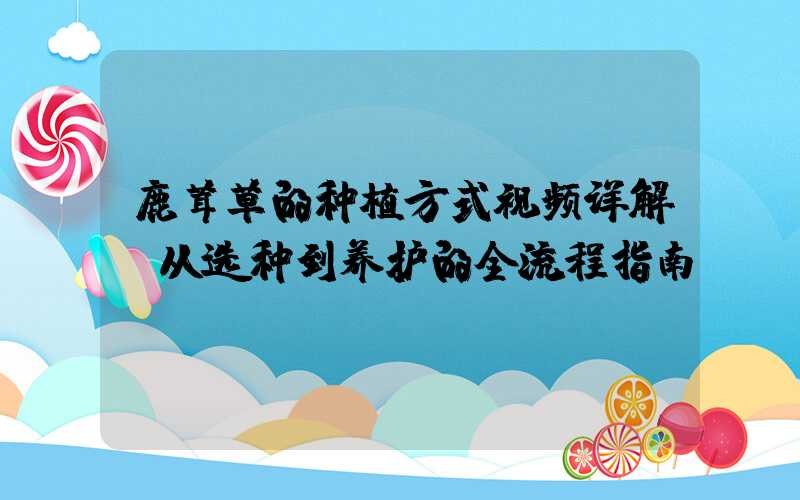 鹿茸草的种植方式视频详解：从选种到养护的全流程指南