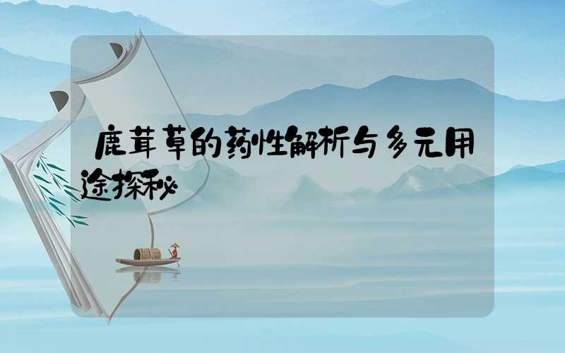 鹿茸草的药性解析与多元用途探秘