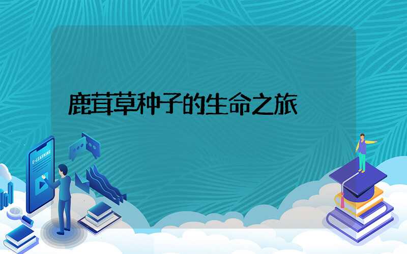 鹿茸草种子的生命之旅