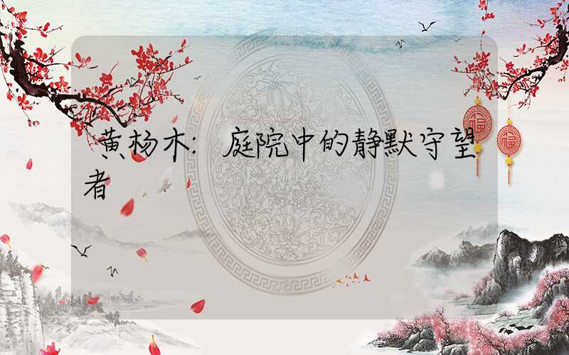 黄杨木:庭院中的静默守望者