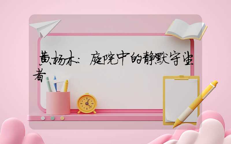 黄杨木：庭院中的静默守望者