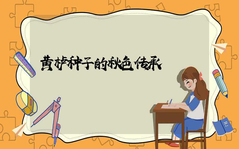 黄栌种子的秋色传承