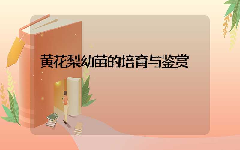 黄花梨幼苗的培育与鉴赏
