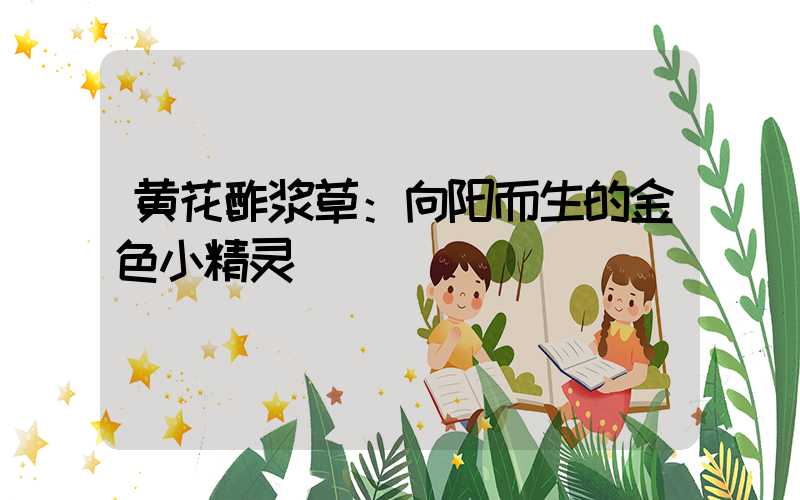黄花酢浆草：向阳而生的金色小精灵
