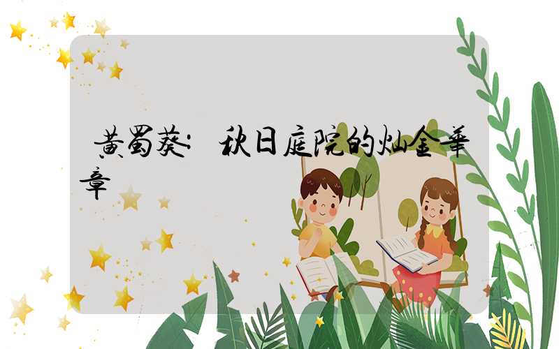 黄蜀葵:秋日庭院的灿金华章