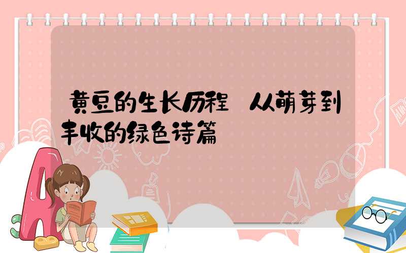 黄豆的生长历程:从萌芽到丰收的绿色诗篇