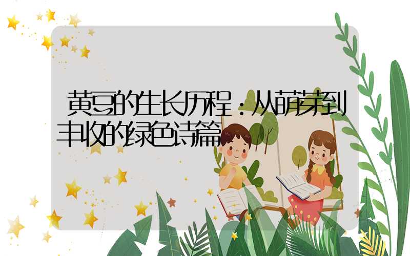 黄豆的生长历程：从萌芽到丰收的绿色诗篇