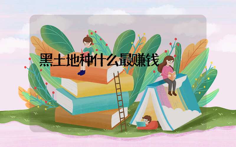 黑土地种什么最赚钱