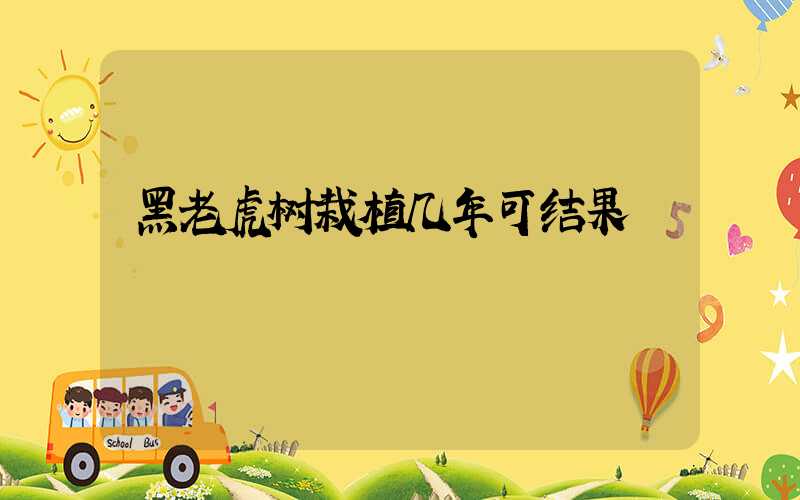 黑老虎树栽植几年可结果
