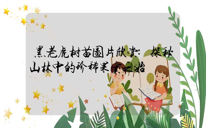 黑老虎树苗图片欣赏:探秘山林中的珍稀果实之始