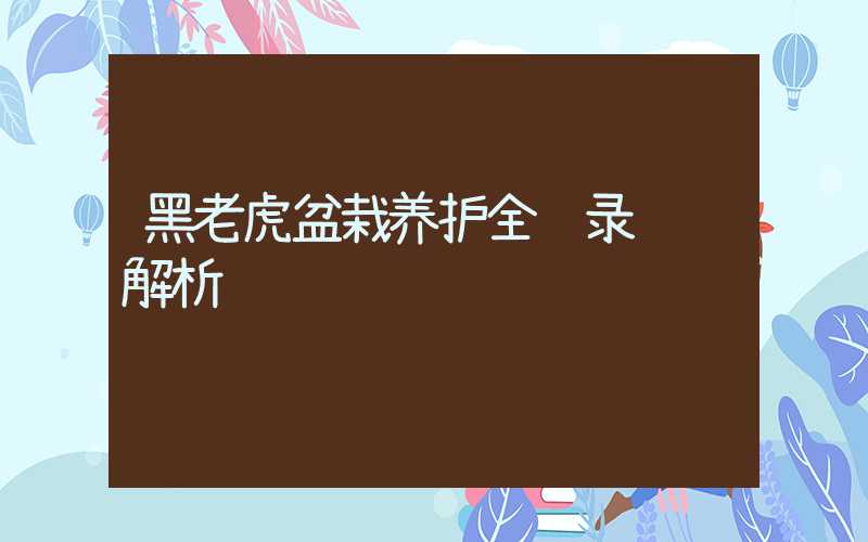 黑老虎盆栽养护全记录视频解析