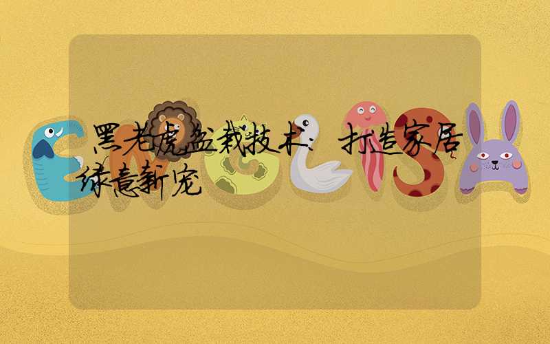 黑老虎盆栽技术:打造家居绿意新宠