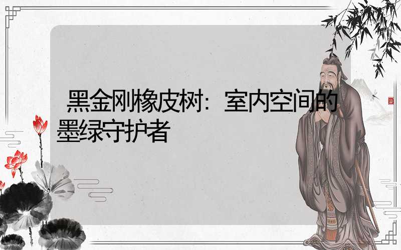 黑金刚橡皮树:室内空间的墨绿守护者