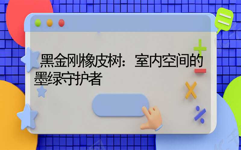 黑金刚橡皮树：室内空间的墨绿守护者