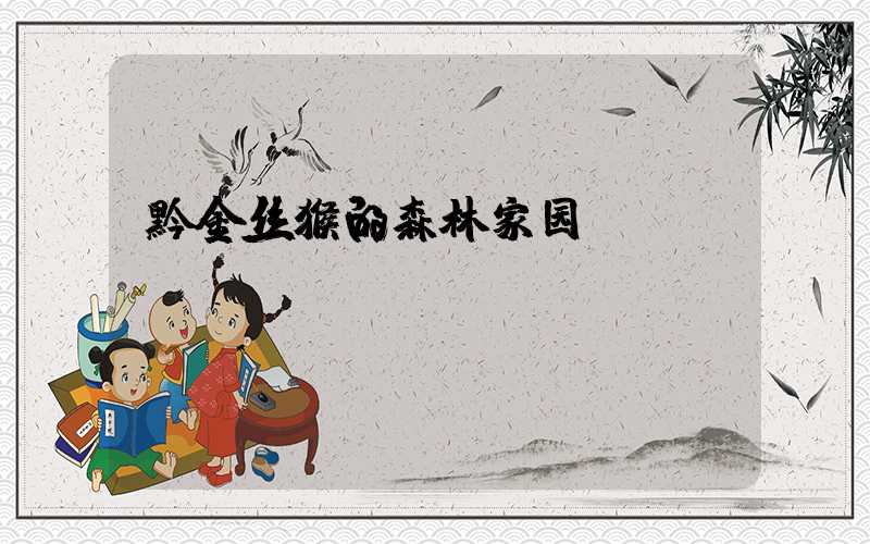 黔金丝猴的森林家园