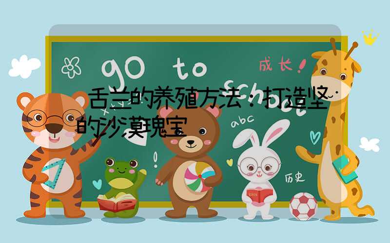 龙舌兰的养殖方法：打造坚韧的沙漠瑰宝