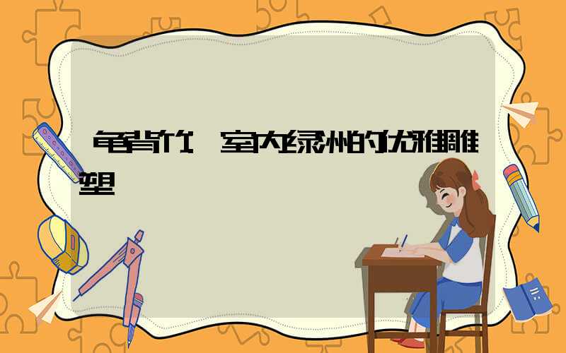 龟背竹:室内绿洲的优雅雕塑