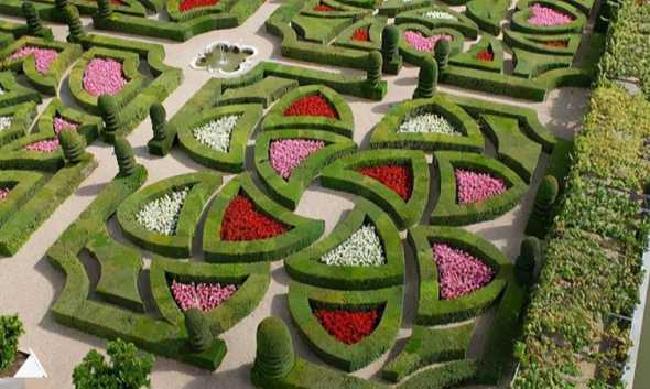 绿篱与片植有什么不同 绿篱植物都有哪些如何修剪绿篱