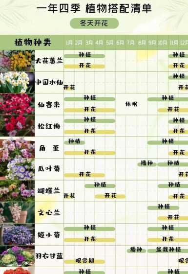 春天适合种什么花理由 春天适合种植什么花草