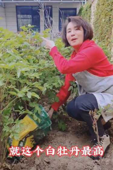 取了一个爱养花草的老婆 诸葛亮为何一生忠贞老婆黄月英