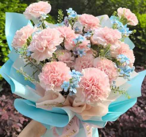 康乃馨花束怎么放水里 康乃馨花束怎么养,5个步骤让你的康乃馨花束活过来