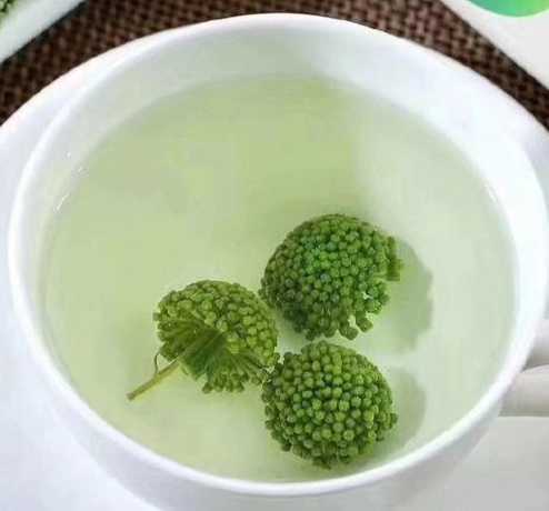 藤三七花怎么样泡水喝 藤三七的花可以吃吗