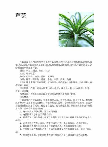 养殖芦荟有什么好处吗 芦荟的养殖,信息越多越好