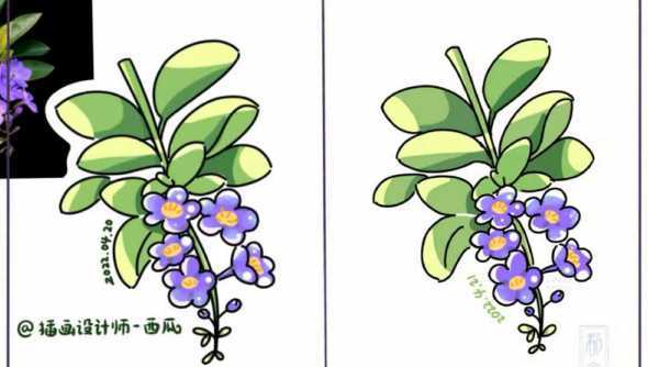 西瓜怎么画开什么花 西瓜花怎么画