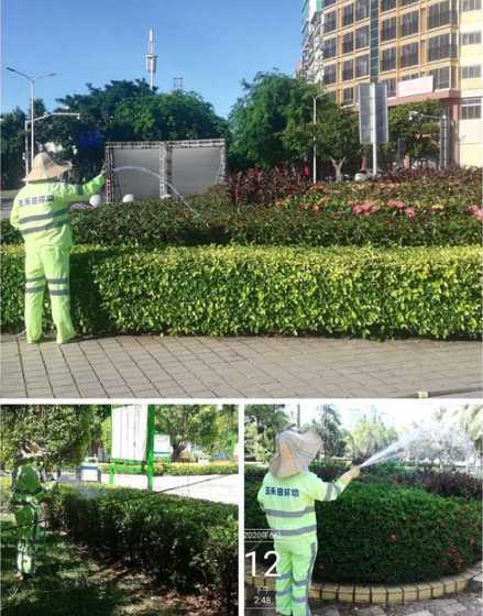 夏天傍晚什么时候浇花 浇花的最佳时间是什么时候