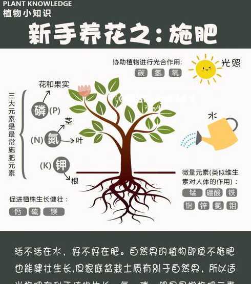 种花放硫磺起什么作用 怎样种花