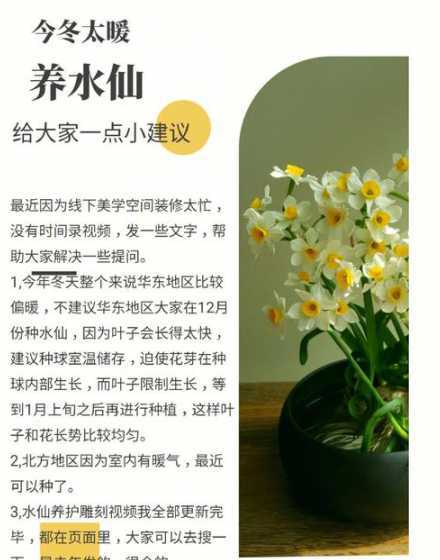 水仙过了冬季怎么处理 水仙到夏天怎么保存
