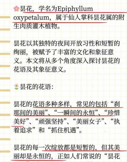 赞美昙花的花语是什么 昙花的花语是什么意思