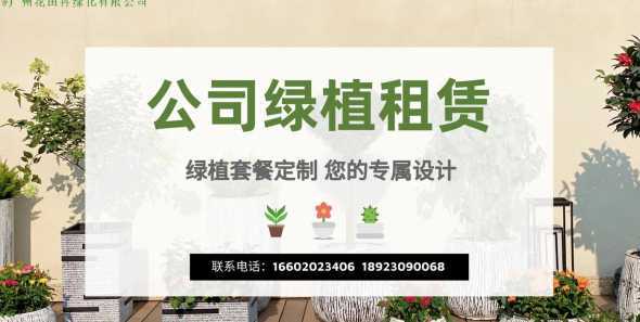 公司绿植为什么要租赁 为什么绿植租赁服务会流行