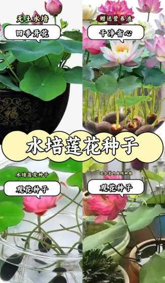 水养花要怎么样才不变 在室内用水养花,怎样才能把花养的久些