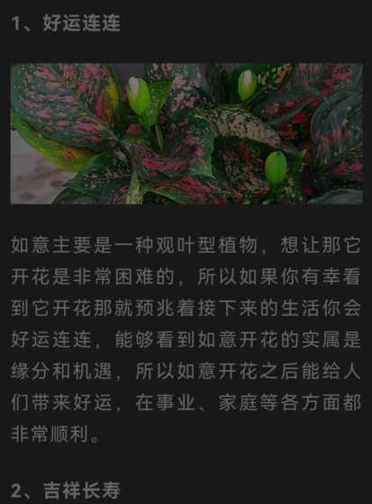 如意皇后什么时间浇水 如意皇后怎么浇水