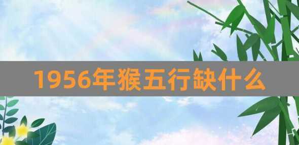 八零年猴在五行缺什么 80年属猴一生三大难
