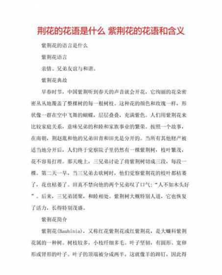 大花大有表达什么含义 大花蕙兰的花语与意义