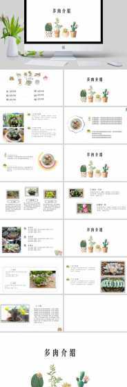 多肉有什么功能及作用 多肉植物有什么作用吗