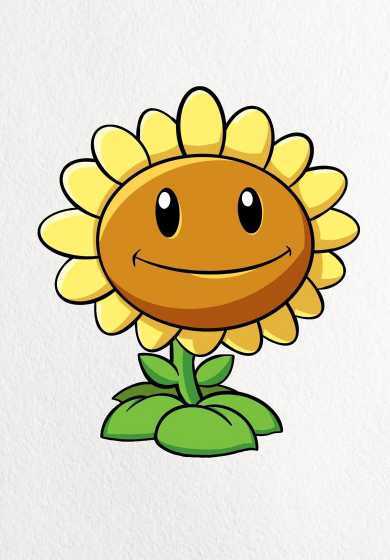 盆栽太阳花怎么画儿童 太阳花怎么栽种,盆栽太阳花栽培养殖方法