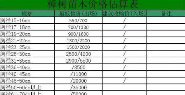 樟树优良苗多少钱一株 龙脑樟树苗多少钱