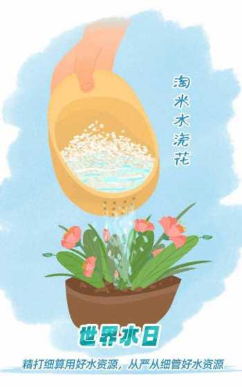 淘米水浇花了怎么解酒 淘米水浇花,为何花枯死了,我该怎么救