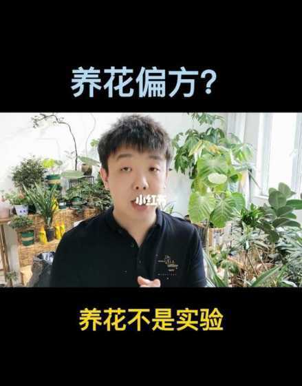 养花有什么好偏方上海 警惕家里养花听了这些“偏方”一盆花就死了!