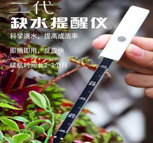 多肉浇水怎么检测土壤 多肉浇水土壤下沉的原因