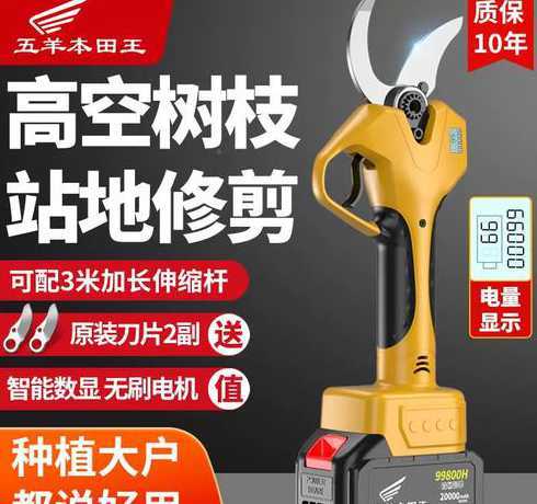 电动剪枝剪口怎么样调 剪枝口诀东不留高西不留低