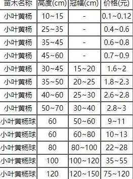 山黄杨树价格是多少钱 怎样让高山黄杨树发芽