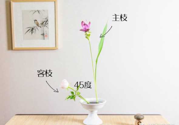 插枝的花放在什么地方 玫瑰花插枝种植方法,如何养护