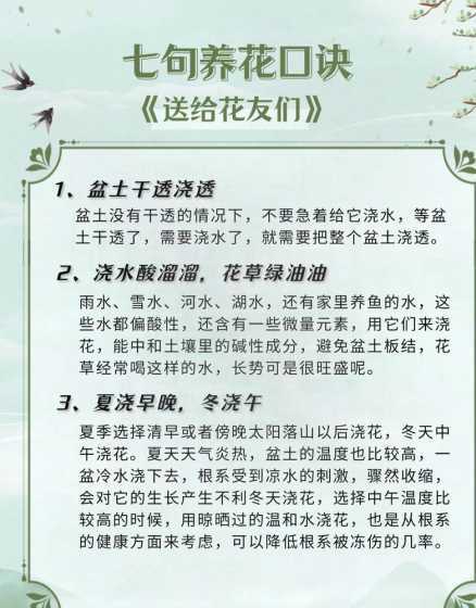 养花为什么别中午浇水 家中养花什么时间浇水好(室内浇花什么时间浇水合适)