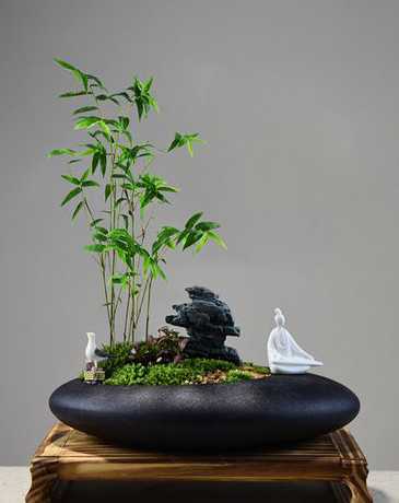 竹子做花盆种什么花好 盆栽竹子适合什么土壤种植