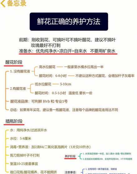 怎么养玫瑰怎么养玫瑰 玫瑰花水养方法是什么