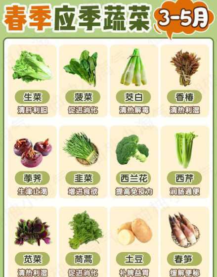 十一二月种什么蔬菜好 十一月种植什么蔬菜合适
